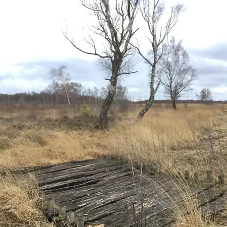 Kranich-holzferienhaus 'kleine Auszeit'