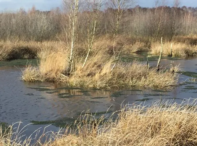 Feriehus Kranich-holzferienhaus 'kleine Auszeit' Rehden