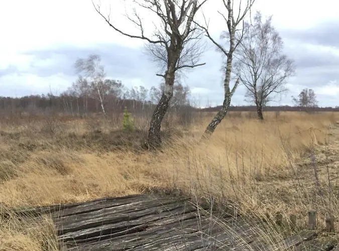 Kranich-holzferienhaus 'kleine Auszeit'