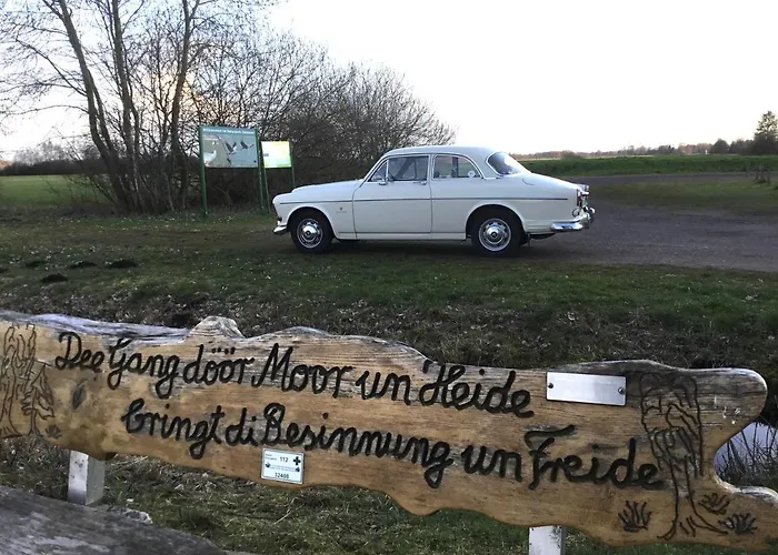 Kranich-holzferienhaus 'kleine Auszeit' Ferienhaus Rehden